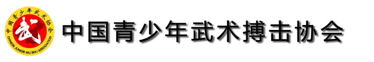 中国青少年武术搏击协会